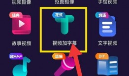 自媒体爆料视频,真实事件背后的惊人真相